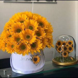 Meet your Posher, Alejandra